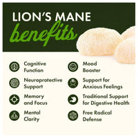 Swanson Lion's Mane Mushroom - Full Spectrum 500mg - 60 caps - Probiotic.co.uk