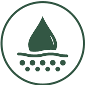 12 Pack CDS22-formula Box